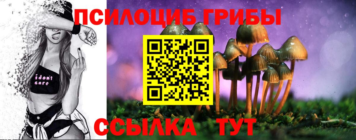 Псилоцибиновые грибы GOLDEN TEACHER Старый Оскол